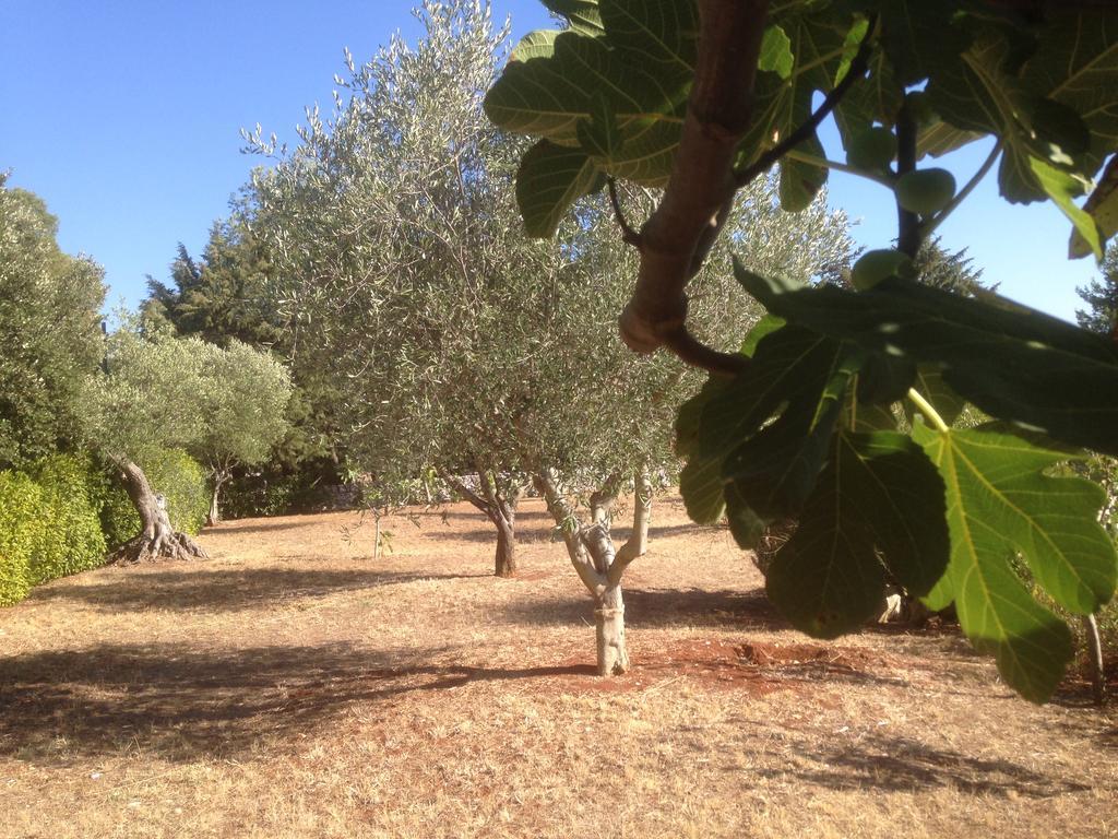 Villa Trullo Picchiagiuda à Ostuni Extérieur photo