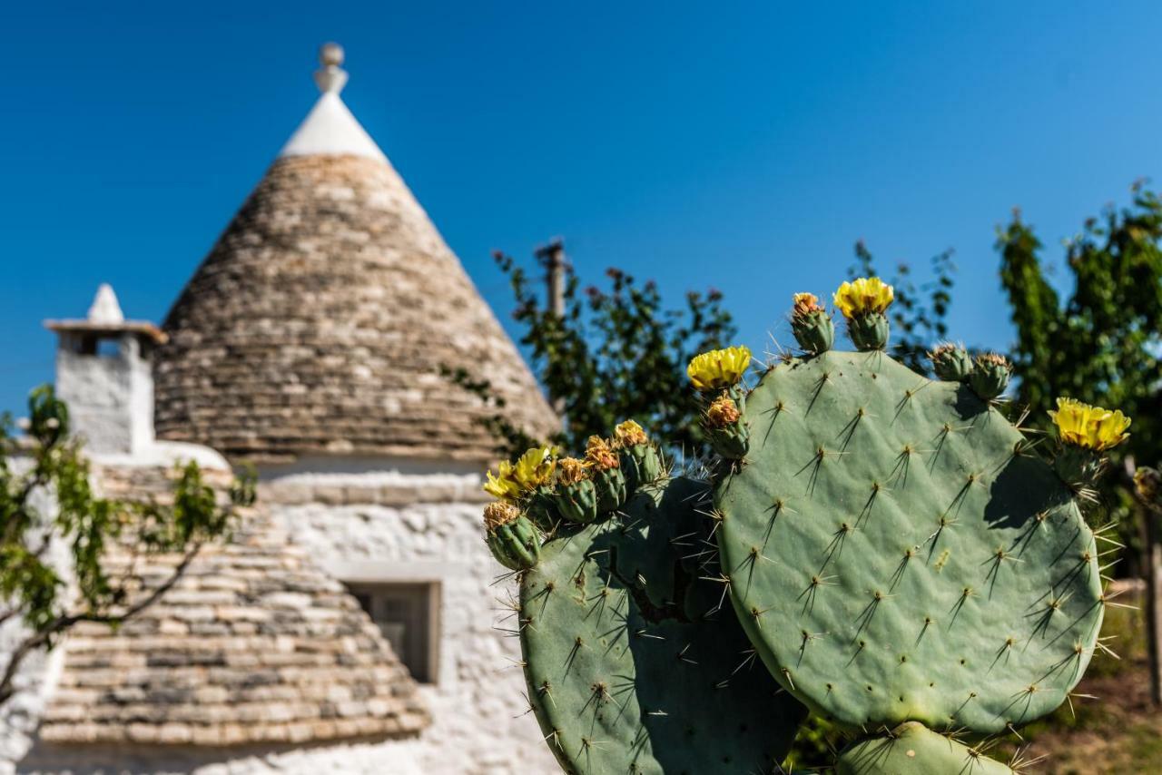 Villa Trullo Picchiagiuda à Ostuni Extérieur photo